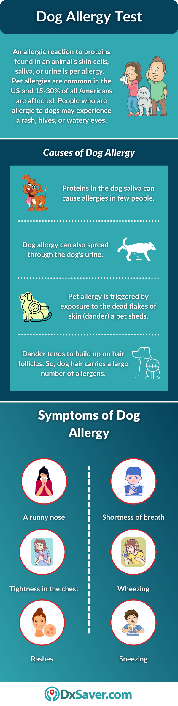 Dog Allergy: Causes and Symptoms