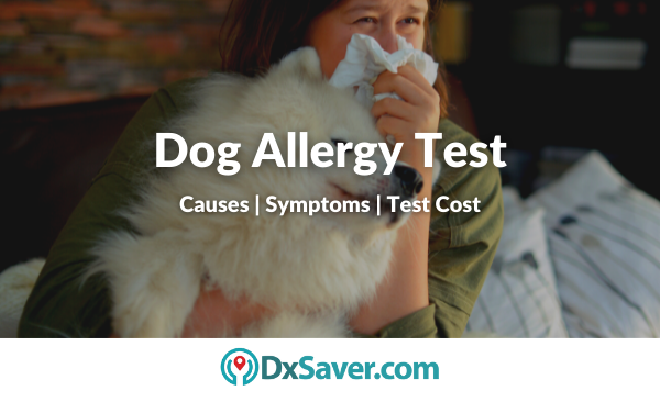 Dog Allergy Test