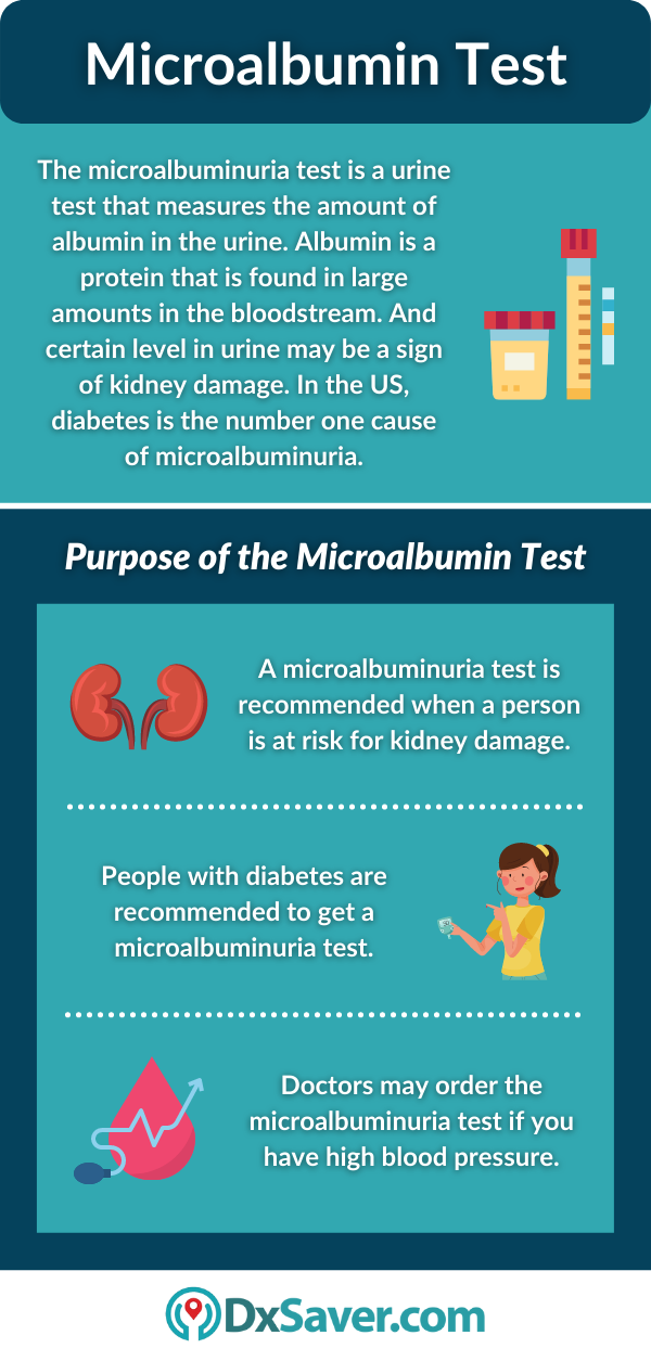 Microalbuminuria Test and its Purpose