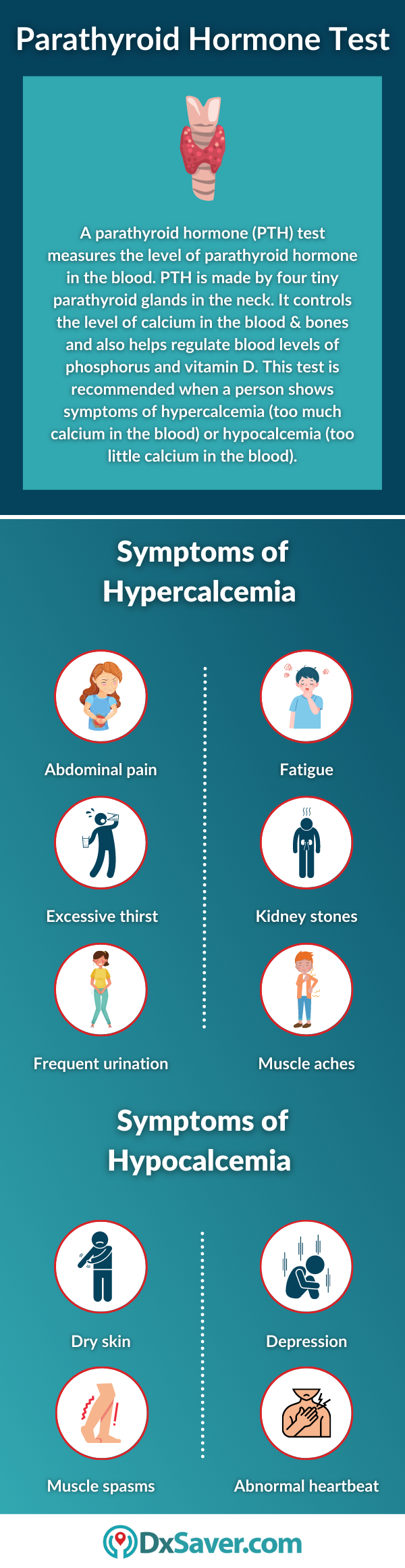 Parathyroid Hormone Test & Symptoms of Hypercalcemia and Hypocalcemia