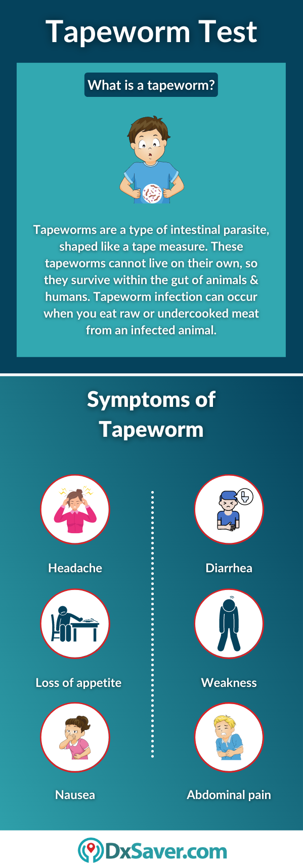 Tapeworm Test: Symptoms and its Causes
