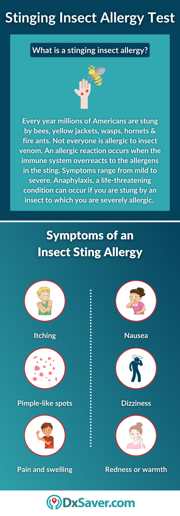 Stinging Insect Allergy and its Symptoms