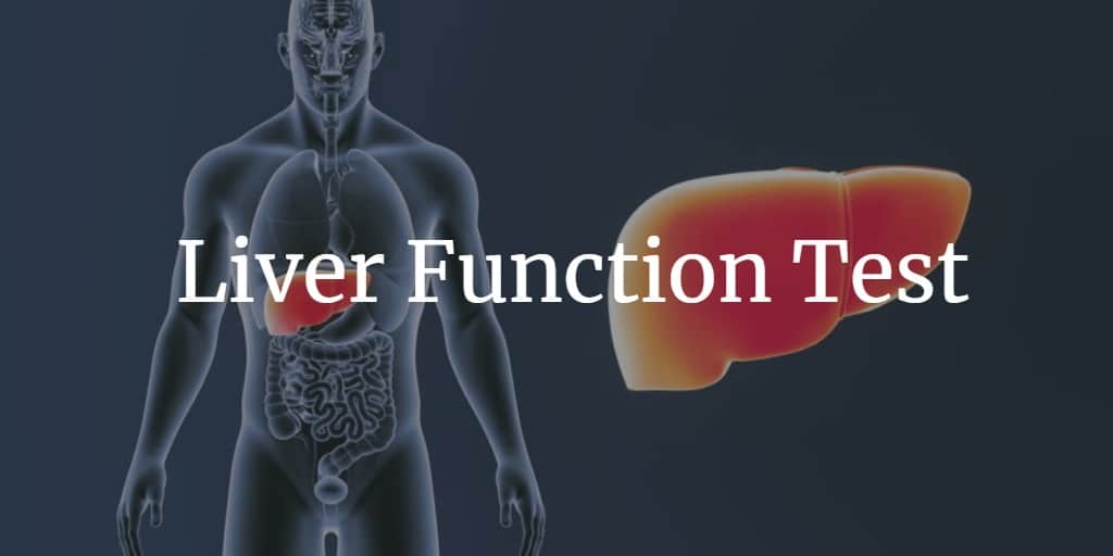Know more about the liver function test, tests included, procedure, and preparation.