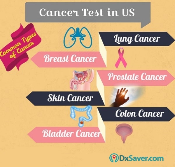 Know more about the different types of cancer in the U.S.