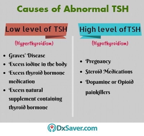 How To Increase Tsh Level Effortbroad24