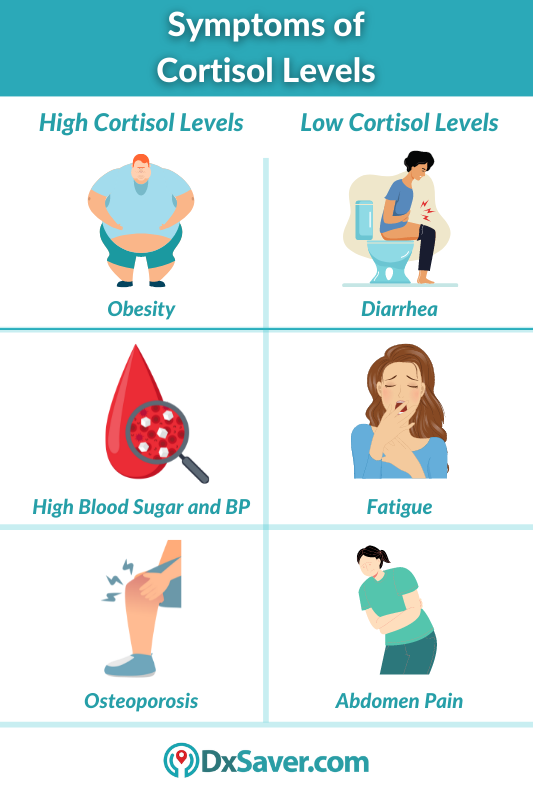 Symptoms of high and low cortisol levels