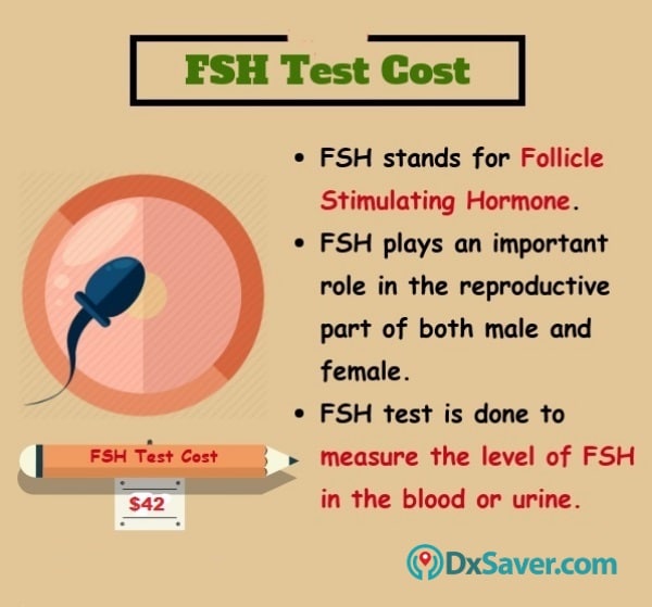 Know more about the FSH test cost in the U.S. and why it is done.