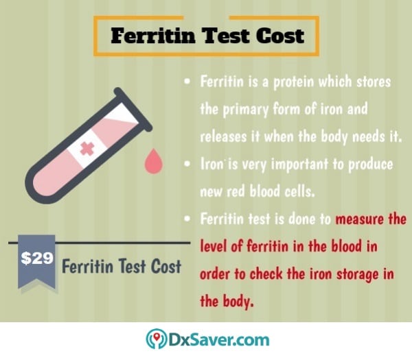 Know more about the purpose of ferritin test and the ferritin test cost in the U.S.