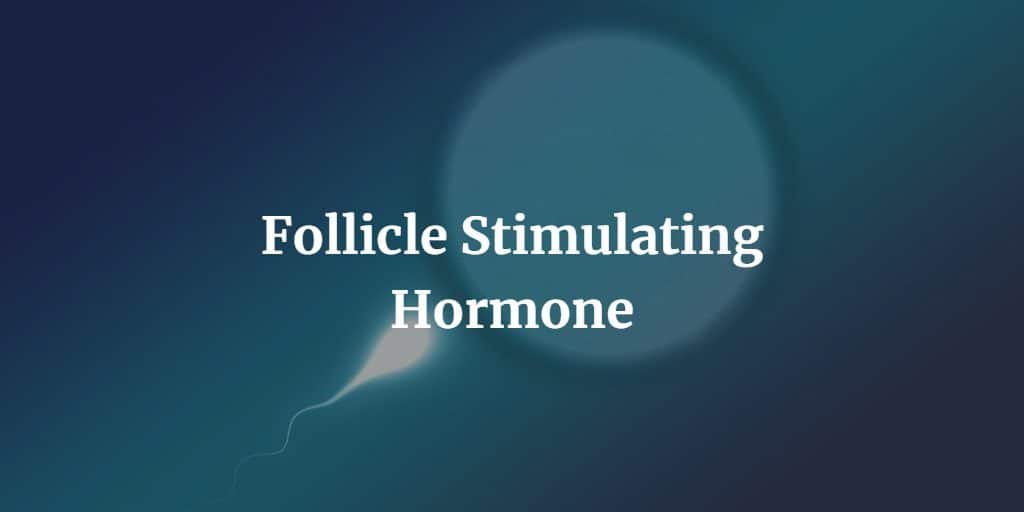 Follicle Stimulating Hormone – DxSaver.com Know more about the follicle-stimulating hormone test including procedure, preparation, and risks.