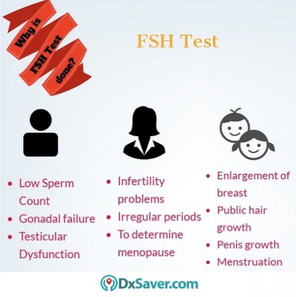Know more about the reasons behind taking the FSH test.