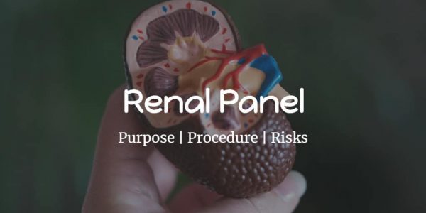 Know more about the renal panel including the cost, tests included, procedure, preparation, and risks.