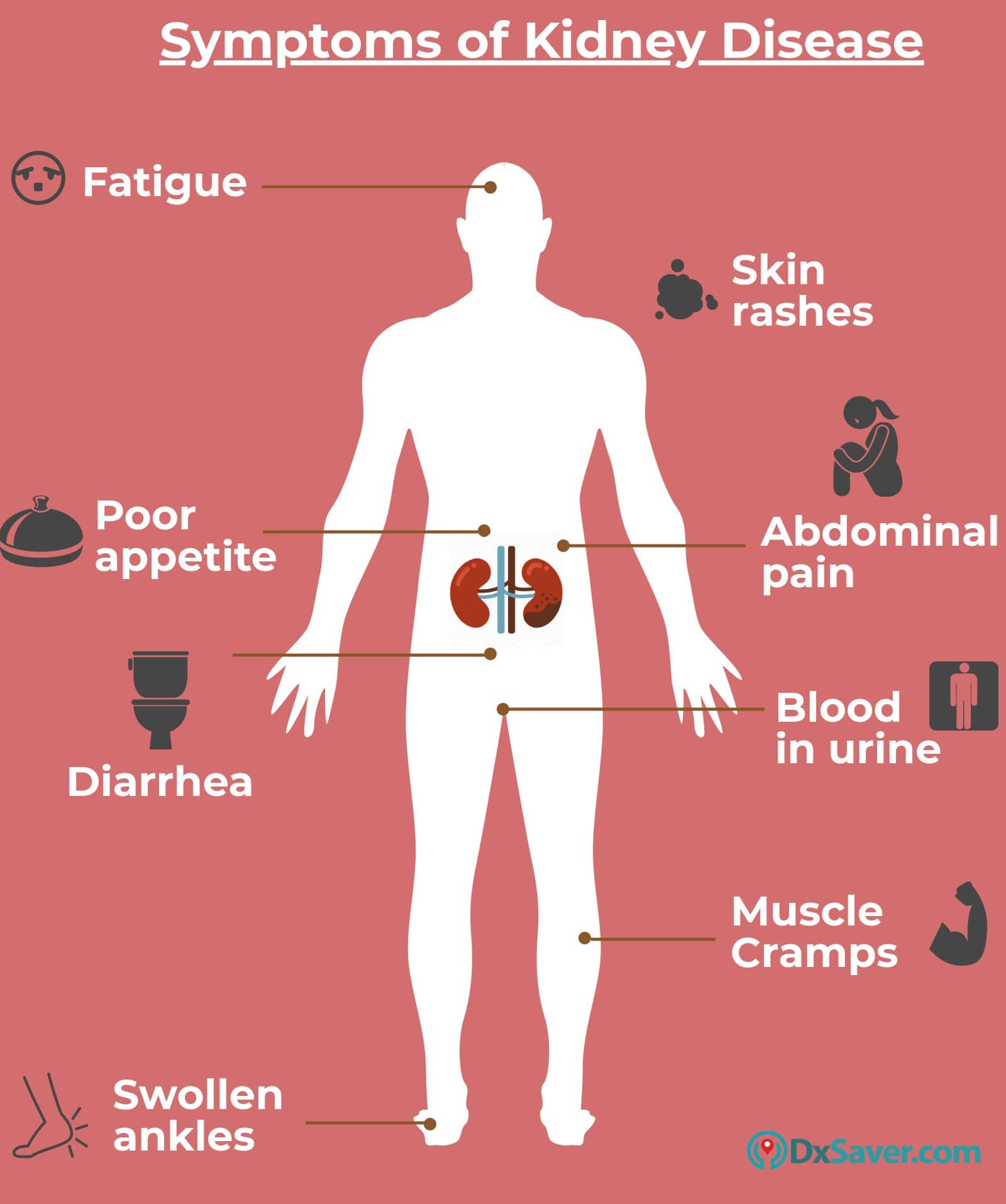 complete-guide-to-renal-kidney-panel-cost-purpose-tests-included