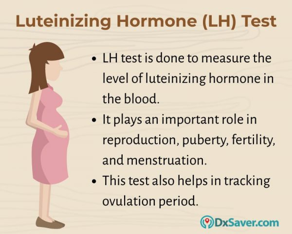 Know more about the Luteinizing hormone and the LH levels during ovulation & pregnancy.
