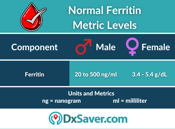 Know more about normal ferritin levels in men and women