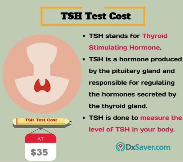 Know more about the TSH test including the TSH test cost in the U.S.