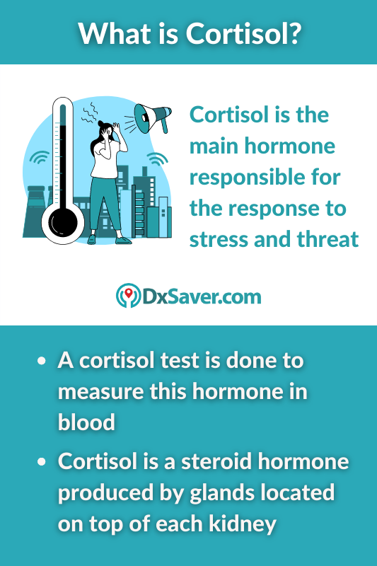 Know more about the cortisol hormone and the importance of cortisol hormone