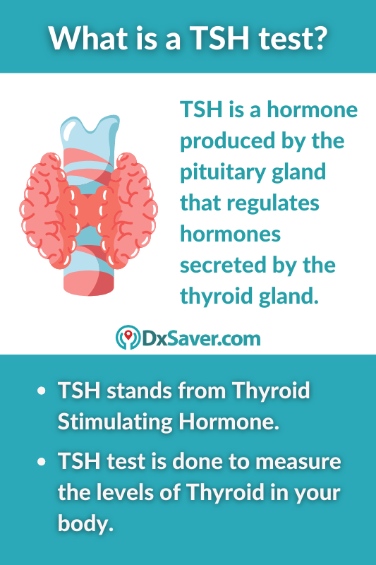What is a TSH test and why is it done