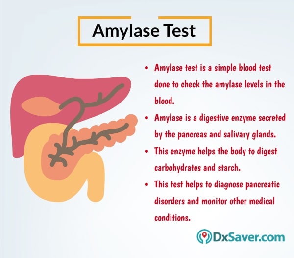 Know more about the amylase blood test and the importance of amylase enzyme in the body.