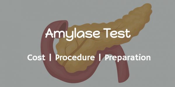 Know more about the amylase test cost, what is amylase test, normal amylase levels, elevated amylase levels & risks.