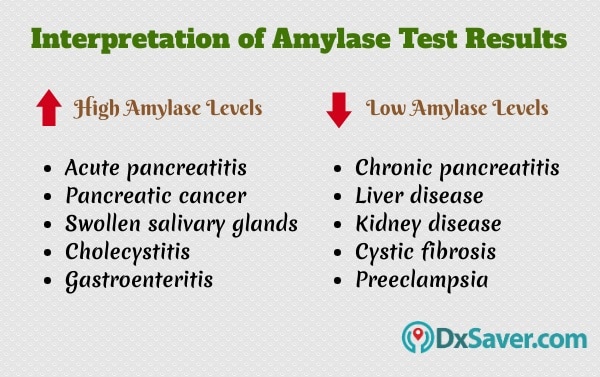 Know more about what the amylase test result means and complications of elevated amylase levels or low amylase levels.