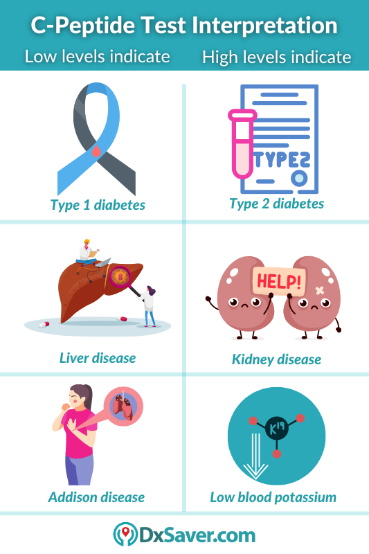 Know more about the C-peptide test result interpretation i.e. causes of high and low levels of C-Peptide.