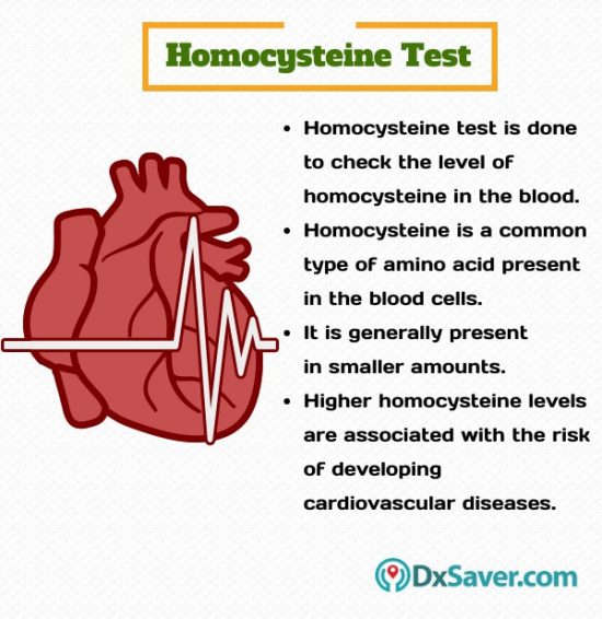 Know more about the purpose of homocysteine blood test.