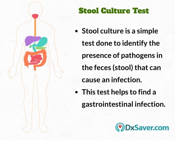 Know more about the stool culture test and the purpose of stool culture test.
