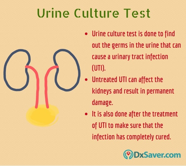 Planned Parenthood Uti Cost