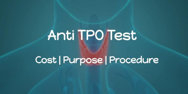 Know about the TPO antibodies test like the anti TPO test cost, thyroid peroxidase antibodies & more..