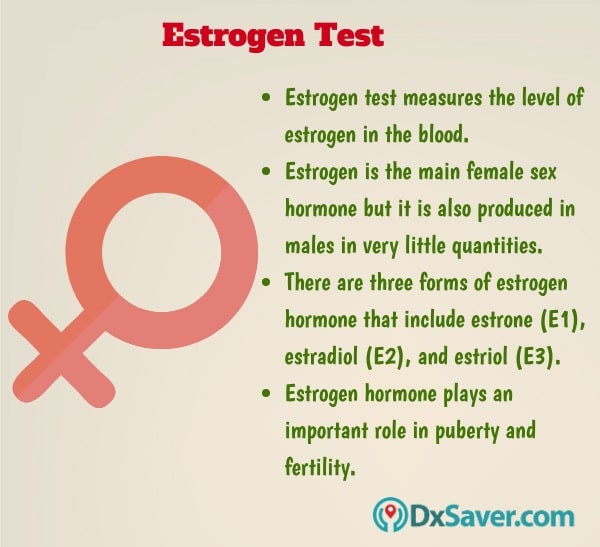 Know more about the importance of estrogen hormone and the estrogen test.