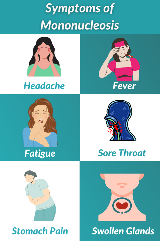 Symptoms of Mononucleosis 