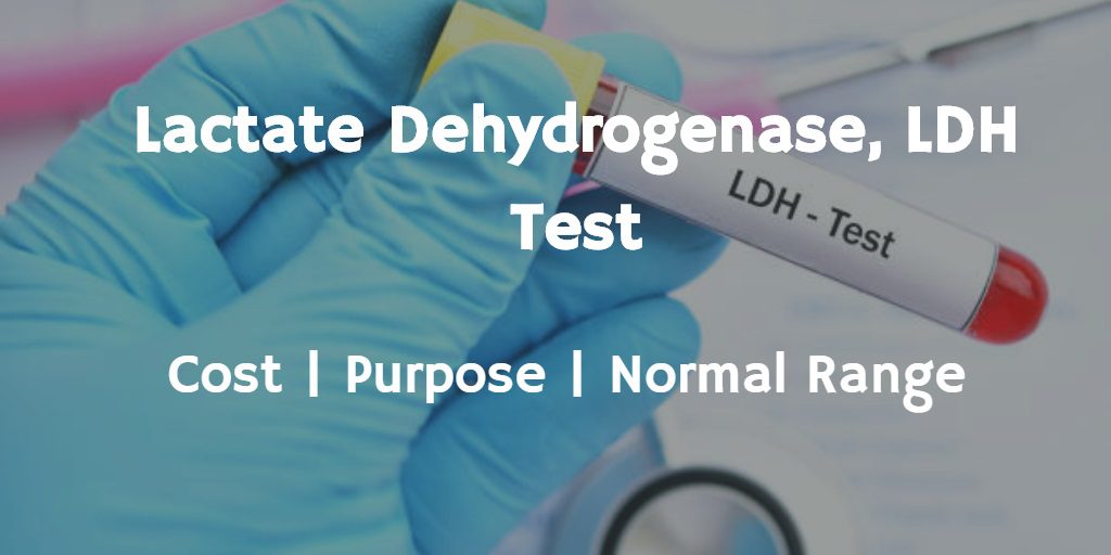 Know more about the LDH test including the LDH test cost, purpose and the normal range of the test.