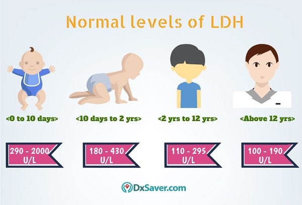 Know more about the normal LDH levels in the blood. Get Lowest LDH Test Cost at $47.