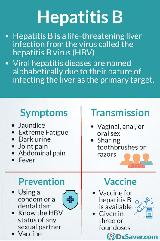 Know more about hepatitis B symptoms, vaccine and treatment