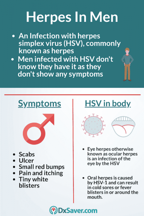 1 genital transmission type herpes Transmission rate