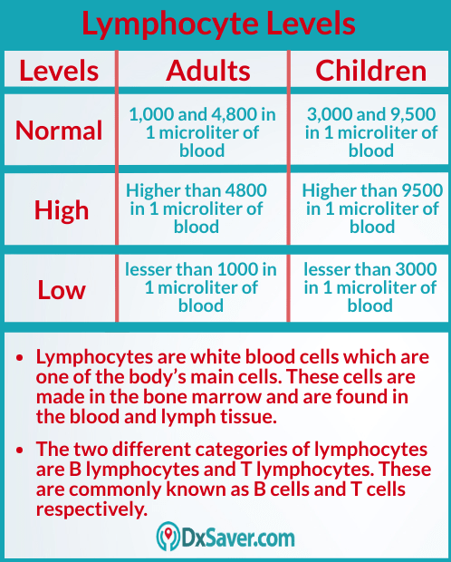 Know more about Lymph blood test low and high & Lymphocytes normal range