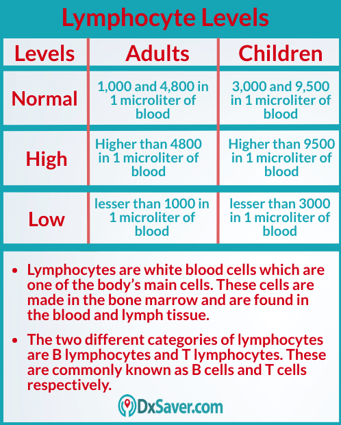 low level of lymphocytes