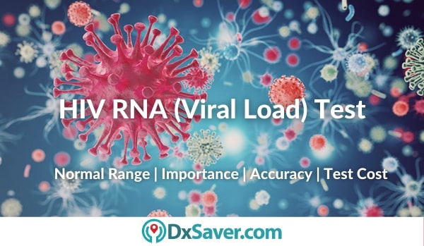 HIV RNA Test Cost, HIV RNA Window Period & Accuracy