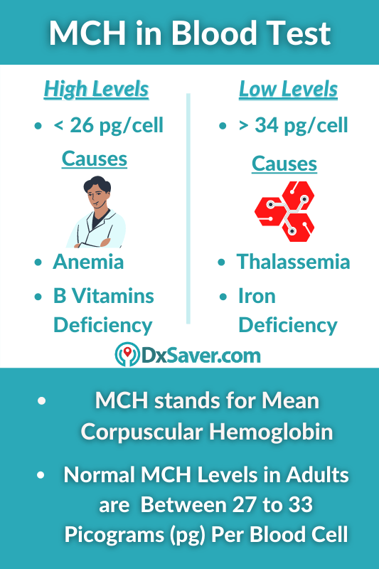 MCH Blood Levels, Normal, High & Low Level Symptoms & Causes