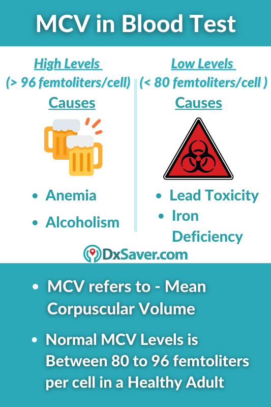 What Is MCV Blood Test Causes Symptoms Of High Low MCV Levels In Blood DxSaver