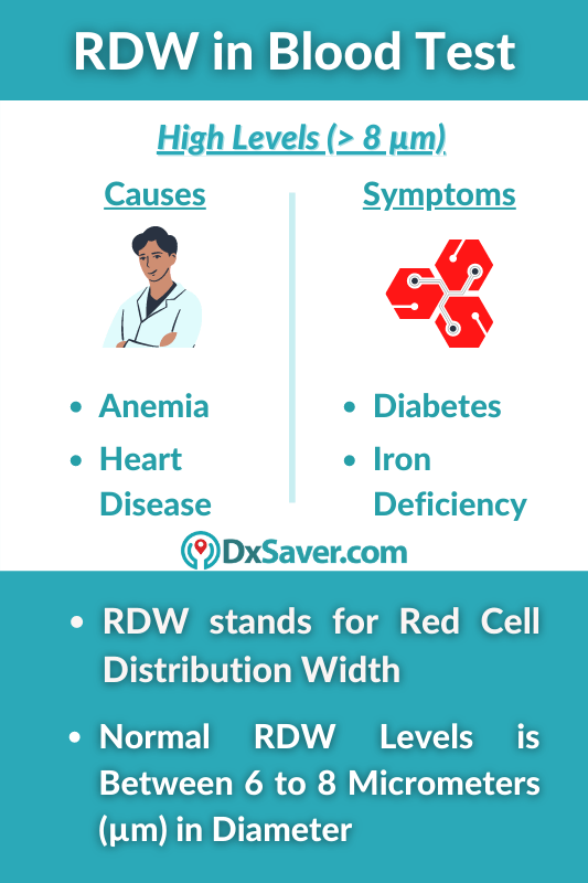 Blood Lab Test Rdw At Melissa Acker Blog