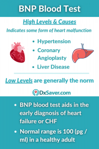 Printable Bnp Levels Chart Printable Bnp Levels Chart