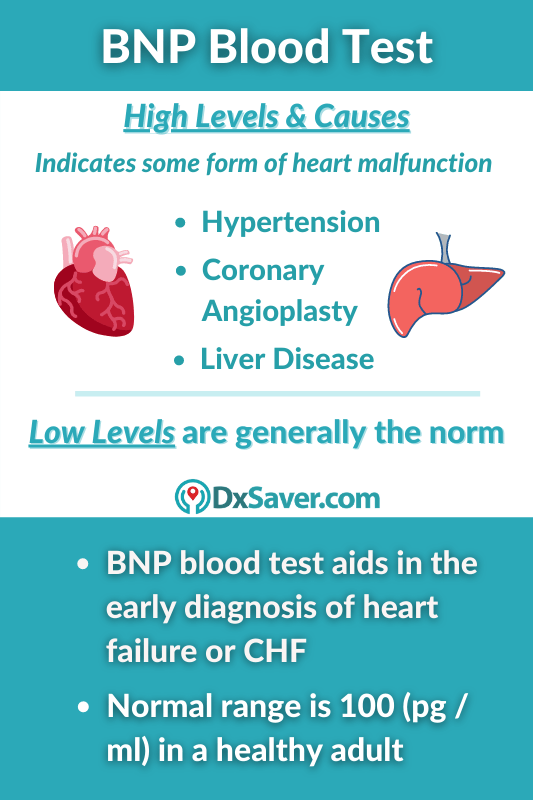 High BNP levels what does BNP blood test mean