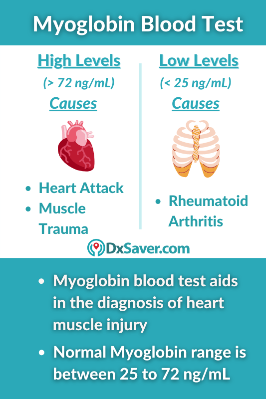 Myoglobin high levels causes & normal levels meaning