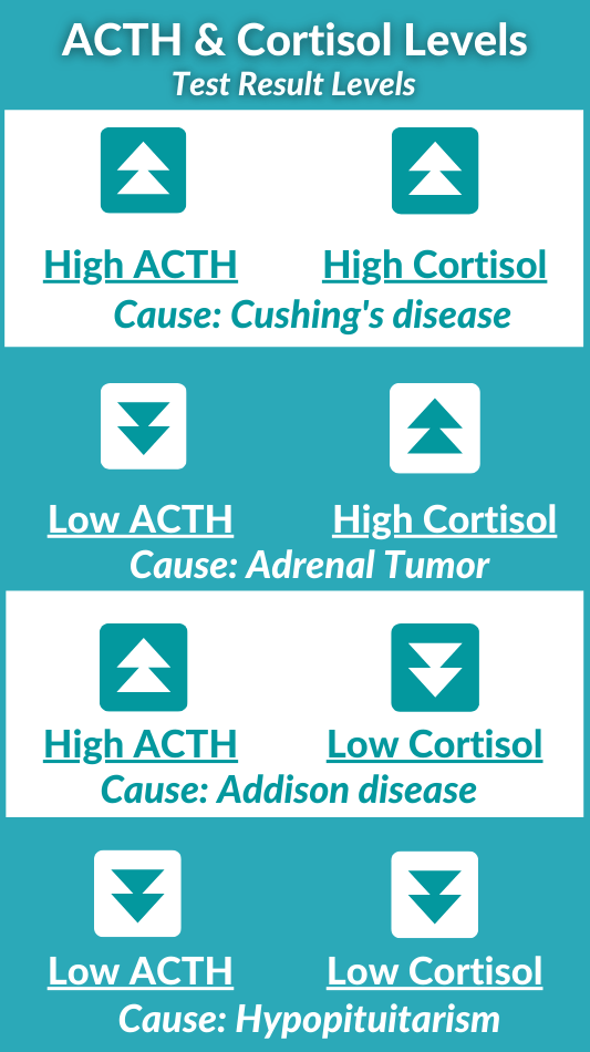 ACTH & Cortisol Test Result Levels