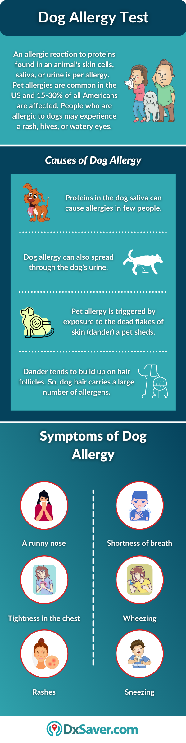 Dog Allergy: Causes and Symptoms