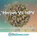 Difference Between Herpes and HPV STDs