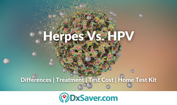 hpv and herpes difference
