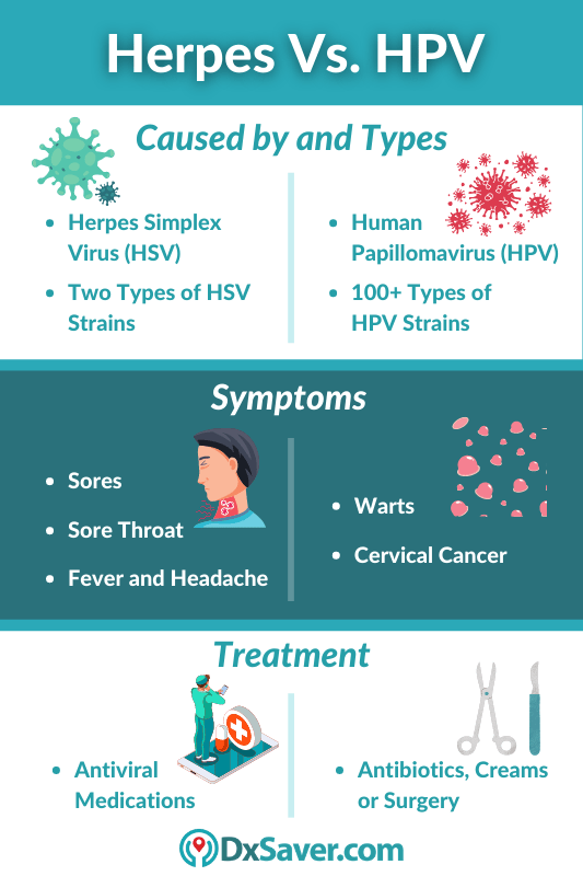 human papillomavirus and herpes simplex virus