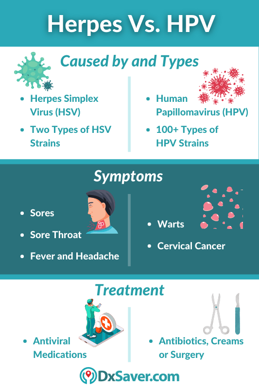 Herpes papillomavirus symptoms. Hpv vs herpes warts